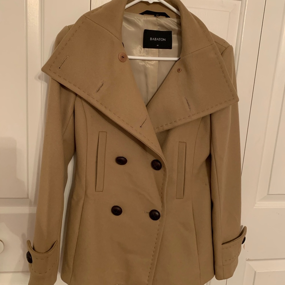 Aritzia Babaton Howell Coat